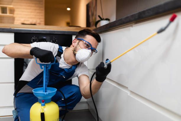 Best Ant Control Services  in Parma, OH