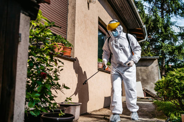 Trusted Parma, OH Pest Control Experts