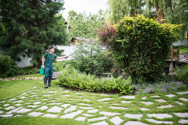 Best Affordable Pest Control Services  in Parma, OH