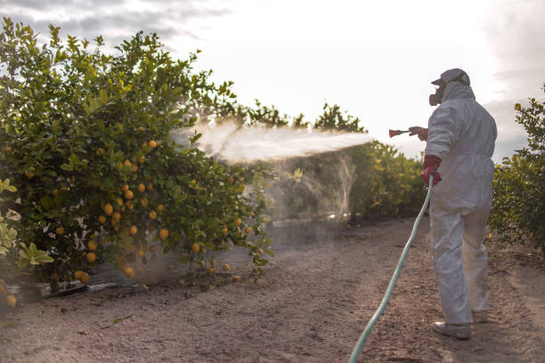 Best Pest Control for Homes  in Parma, OH