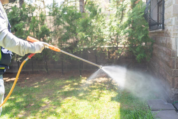 Best Pest Prevention Services  in Parma, OH