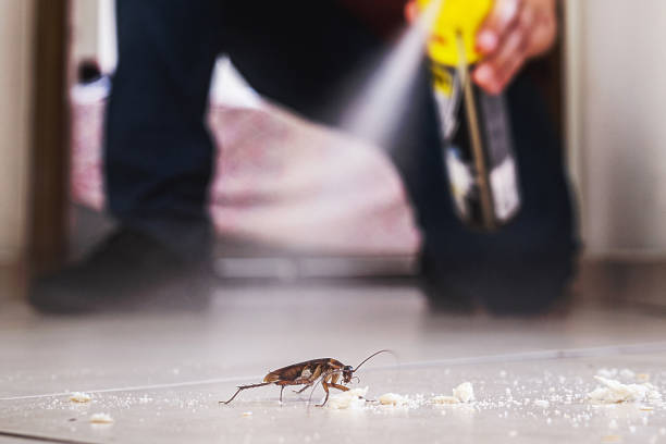 Pest Control Cost in Parma, OH