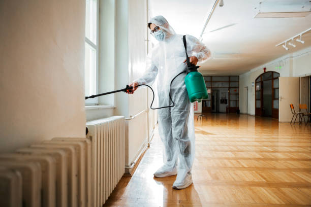 Best Wasp Removal Services  in Parma, OH