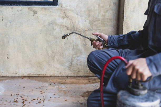 Best Termite Control Services  in Parma, OH